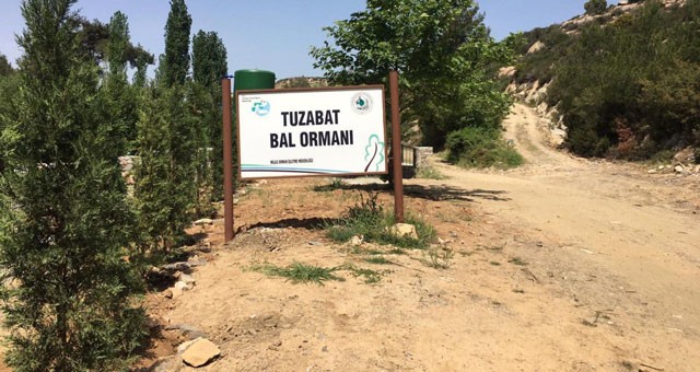 Mahkeme Tuzabat ÇED kararını iptal etti