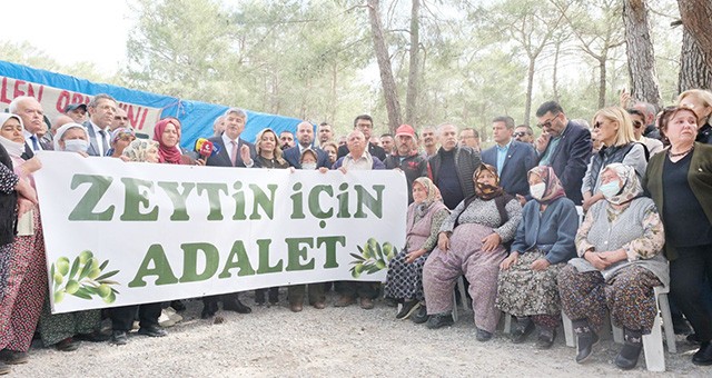 İYİ Parti’li Metin Ergun’un açtığı davada; ZEYTİN YÖNETMELİĞİ “OY BİRLİĞİ” İLE İPTAL EDİLDİ