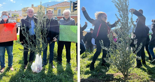 Zeytin dikerek, zeytinliklerin madene açılması protesto edildi