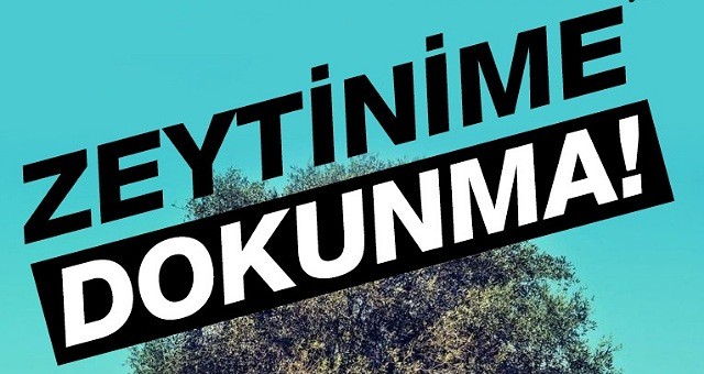 Zeytin yaşamdır…