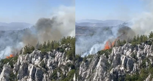 Milas’ta Peş Peşe Yangınlar: Zeytinliklerden Sonra Demirciler Alevlere Teslim