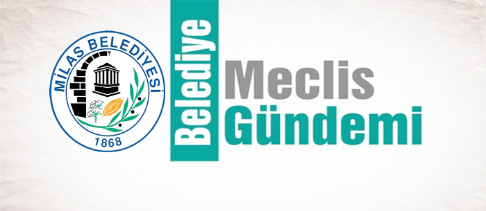 Gündemde, “İlçemize doğalgaz yatırımı yapılması sürecinde Başkan Tokat’a yetki verilmesi” de var!