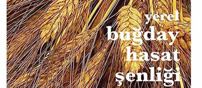 Karacahisar’da yarın “Yerel Buğday Hasat Şenliği” var!