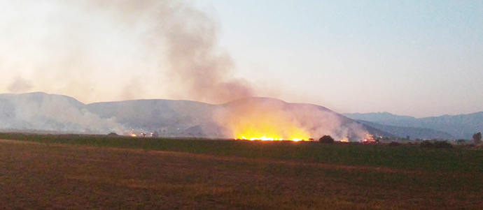 Koru’da yangın …