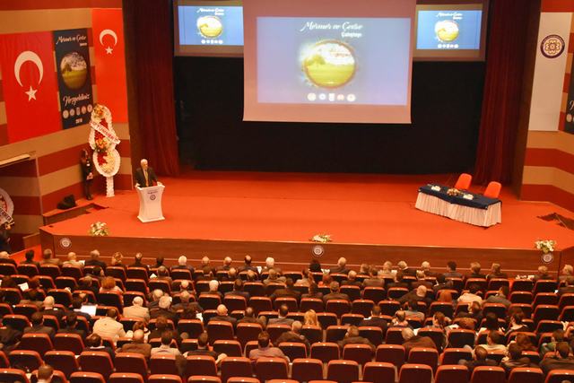 ‘Mermer ve Çevre Çalıştayı’ yapıldı