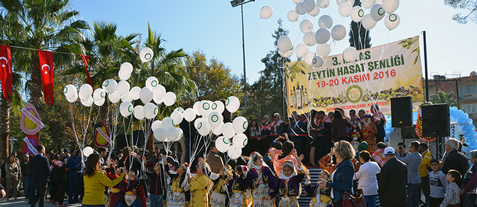 Milas 3. Zeytin Hasat Şenliği’nin ardından