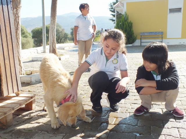 ‘Milas Belediyesi Hayvan Barınağı’nı ziyaret ettiler