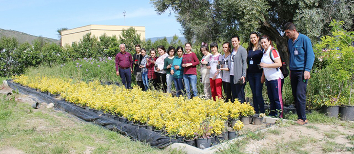 Milas Belediyesi Park ve Bahçeler Müdürlüğü Serasını çok sevdiler