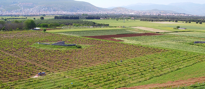 ‘Milas Sulaması’nda ‘mutlu son’a yaklaşıldı!  Proje ile 16 bin 410 dekar tarım arazisi suya kavuşacak …