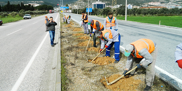 Orta refüjlere fidan dikimi yapılıyor