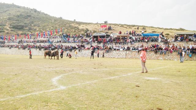 Şampiyon Boğalar Arena’da boy gösterdi