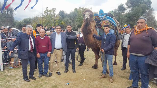 Şampiyon Develer Bafa’da sahaya çıktı