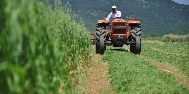 TZOB Genel Başkanı Şemsi Bayraktar:  “Yeni  hükümetin  önceliği tarım olmalıdır”