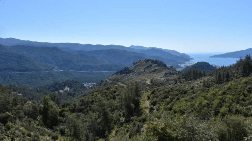 AHMET ARAS: “MUĞLA ORMANLARININ YÜZDE 70’İ, TOPRAKLARININ DA YÜZDE 60’I MADEN RUHSATI KAPSAMINA ALINDI”