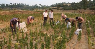 ÇKS ve Tarım Sayımında Son Günler