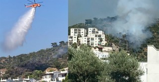Güllük'te Makilik Alanda Çıkan Yangın Kısa Sürede Söndürüldü