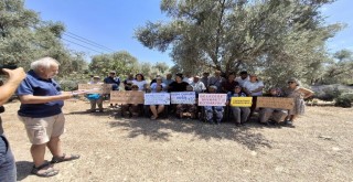 Mimarlar Odası Muğla Şubesi:  “YILLARDIR KALDIRILAMAYAN! ZEYTİN YASASI YENİ MADEN YASASI ile DELİNDİ”