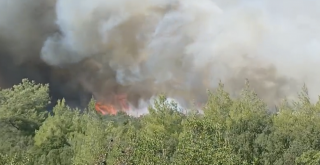 Seydikemer’de Orman Yangınına Havadan ve Karadan Müdahale