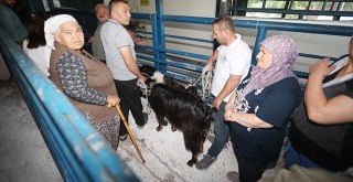 Büyükşehir Mezbahaları Bayramda Tam Kapasite Çalıştı
