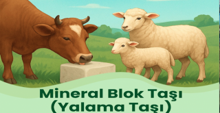 Büyükşehir’den Hayvan Sağlığını Düşünen Destek