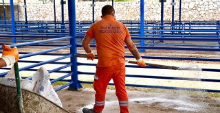 Milas Belediyesi’nden Kurban Bayramına Hazırlık