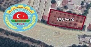 Zeytinlik Arsa İkinci İhalede Satıldı
