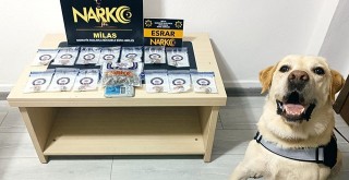 Milas Dahil İl Genelinde Narkotik Operasyonu