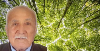 T.C. ORMAN GENEL MÜDÜRLÜĞÜ’NE AÇIK MEKTUP