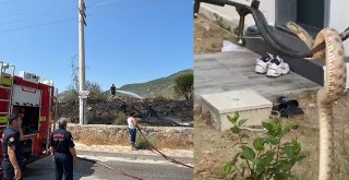 İtfaiye Ekiplerinden Hızlı Müdahale: Yılan Doğaya Salındı, Yangın Büyümeden Söndürüldü