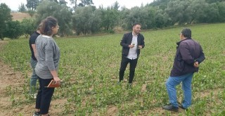 Büyükşehir’den Dolu Felaketine Karşı Hızlı Müdahale