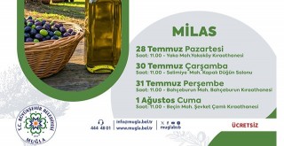 Zeytin ve Zeytinyağı Üretimi Eğitimi Milas’ta Başlıyor