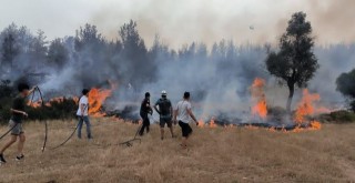 Büyükşehir Anız Yangınları Konusunda Bir Kez Daha Uyardı