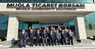 Muğla Ticaret Borsası Y. Kurulu Başkanı Hurşit Özturk:  ZEYTİNLİKLERİN KAMULAŞTIRILMASI TORBA YASADAN ÇIKARILSIN..