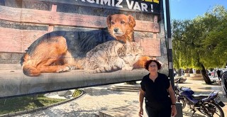 4 Ekim’de Sessiz Eylem: “Tüm Belediye Başkanlarının Elinde Kan Var”