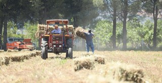 Kadın Üreticilere Fiğ-Arpa-Yulaf Karışımı Balya Dağıtımı