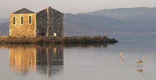 Bargilya Sulak Alanı’nı Tehdit Eden Projelere Karşı Ortak Basın Açıklaması