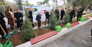 16 Bin 453 Fidan Toprakla Buluşacak