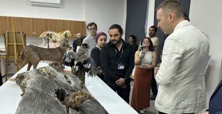 Dünya Veteriner Hekimler Günü kutlandı!