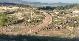 Nejla Işık’tan Çağrı: “Milas Ayağa Kalk, Akbelen’e Sahip Çık”