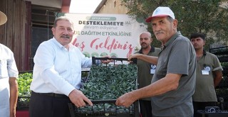 Milas Belediyesi’nden Çiftçilere 250 Bin TL’lik Fide Desteği