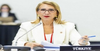 CHP Muğla Milletvekili Öneş Derici, Türkiye'nin Sesini Uluslararası Platformlara Taşıyor