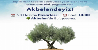CHP, AKBELEN'DE BASIN AÇIKLAMASI YAPACAK.