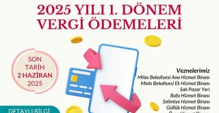 Vergi Ödemelerinde Son Tarih 2 Haziran