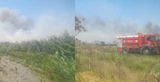 Milas’ın Avşar Mahallesi’nde Tarım Arazilerinde Yangın Çıktı