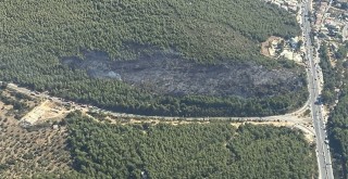 Güvercinlik’te Fidanlar Toprakla Buluşuyor