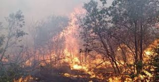 SEYİTGAZİ’DEKİ YANGIN FACİASI MECLİS GÜNDEMİNDE