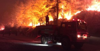 Milas iki farklı noktadan yanıyor, söndürme çalışmaları devam ediyor. Muğla genelinde 7 yangın peşe peşe çıktı