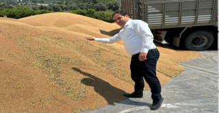 Buğday üreticisinin merakla beklediği hububat fiyatları belli oldu.