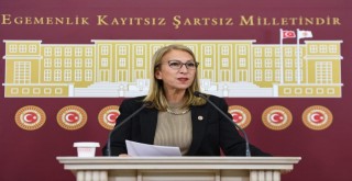 CHP MUĞLA MİLLETVEKİLİ SÜREYYA ÖNEŞ DERİCİ: ORMAN YANGINLARINA İLİŞKİN DERHAL ETKİN SORUŞTURMA BAŞLATILMALIDIR!