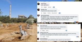 YK Enerji’den Gazetemize Sansür, Zeytin Taşıma Operasyonuna Tepki Çığ Gibi Büyüyor